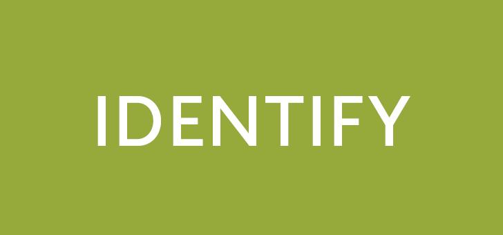 The word "identify" in white on a lime green background