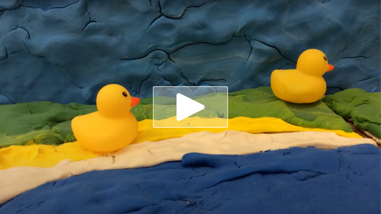 Stop Motion Animation