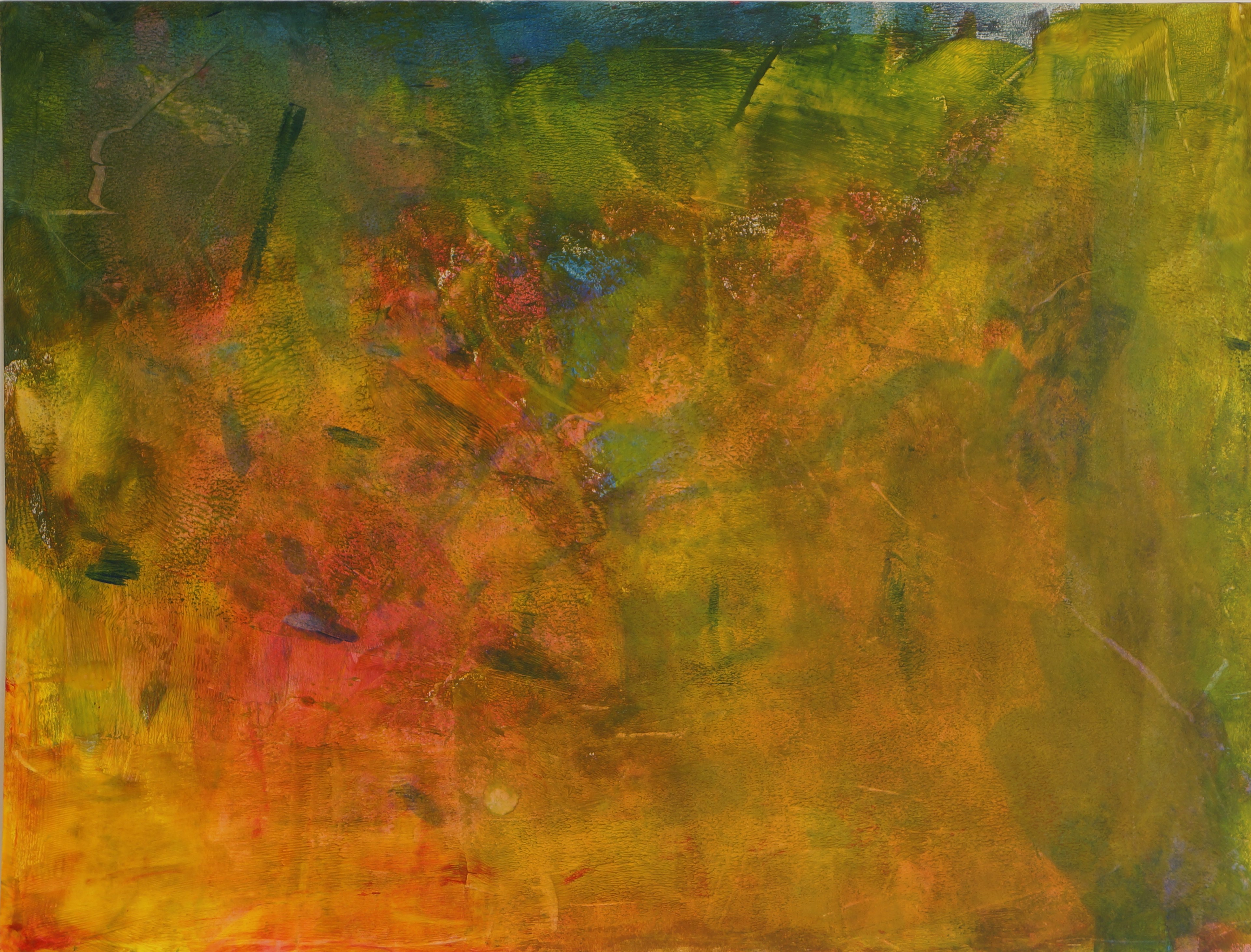 Exhibition Image